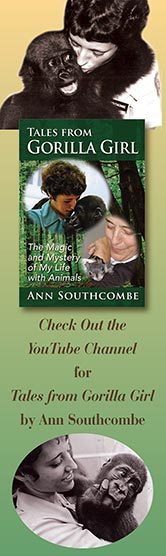 bookmark_AnnSouthcombe